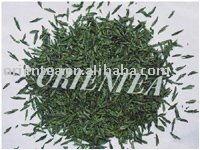 loose  leaf  tea