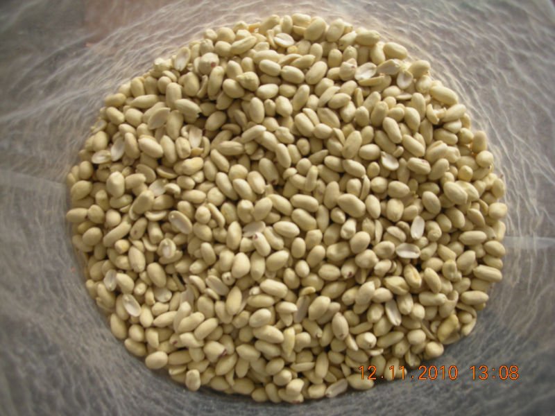 all kinds of  blanched peanut