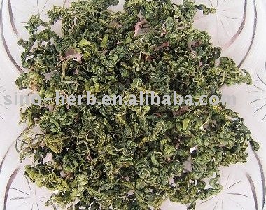 Newly harvest Jiaogulan tea,gynostemma pentaphyllum tea  - The Herb of Immortality