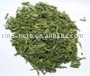 Chinese new tea,breeze bring the fragrance of LongJing Green tea.