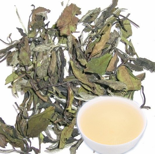 Organic White Tea ----WHITE PEONY---- more  antioxidant   polyphenols 