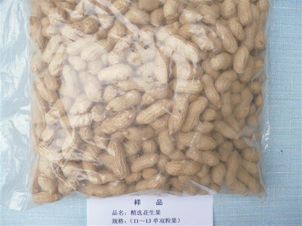Peanuts