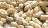 Chinese peanuts