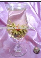 TOP  jasmine   tea   pearl 