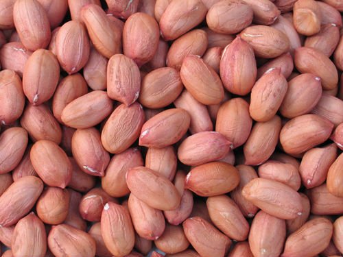 long type groundnut kernels