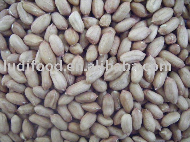 peanut kernels 24/28 Lu hua