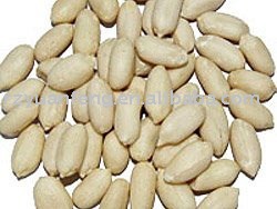 Blanched Peanut Kernels(virginia)