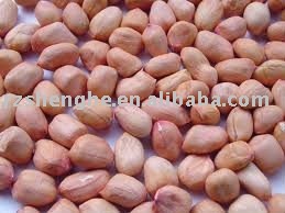 Chinese round type  peanut kernels