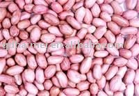 Chinese raw  Peanuts