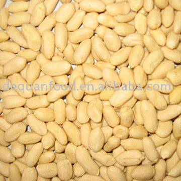 Blanched Peanut kernels