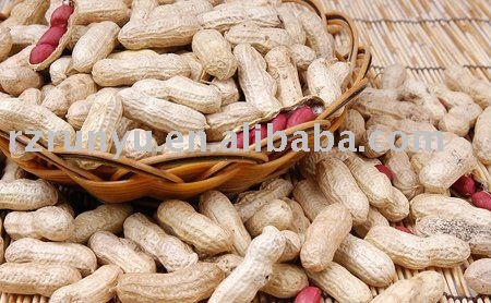  red  peanut in  shell (raw peanut in  shell )