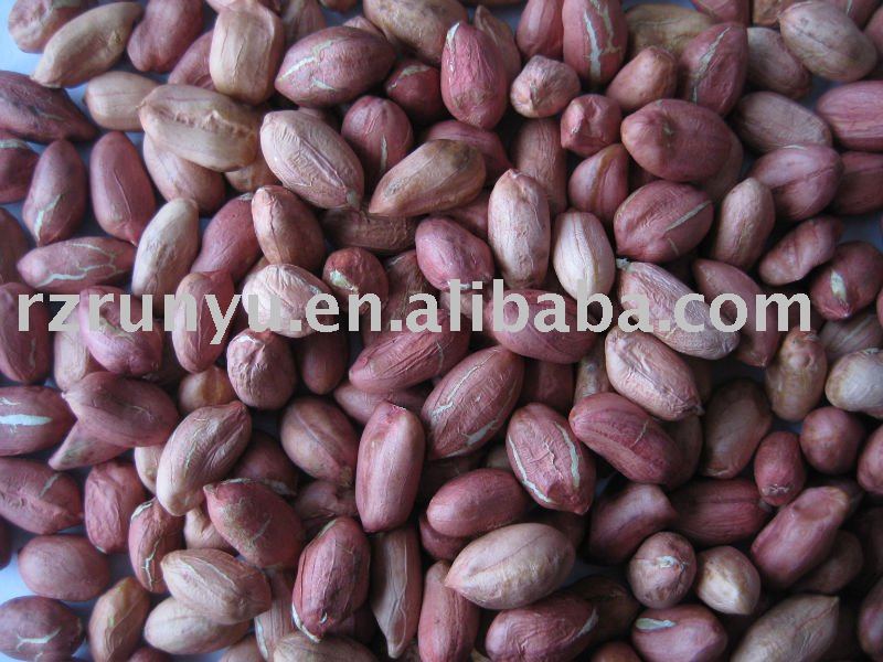 peanut kernels-black color