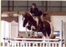 Horse   Monte