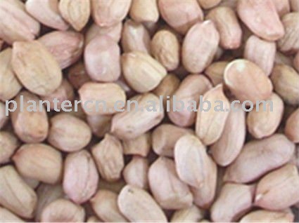 Chinese round shape peanut kernel 60/70
