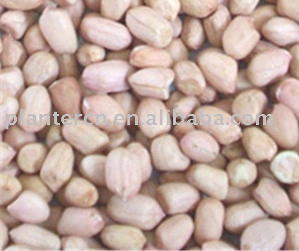 Chinese round shape peanut kernel