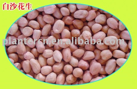Chinese round shape peanut kernel --Hsuji type