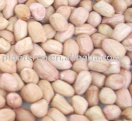 Shandong  round   shape   peanut  kernel 40/50