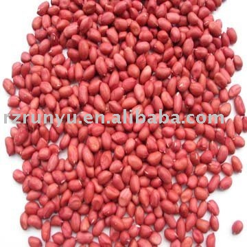red peanut kernels(Chinese peanut kernels)