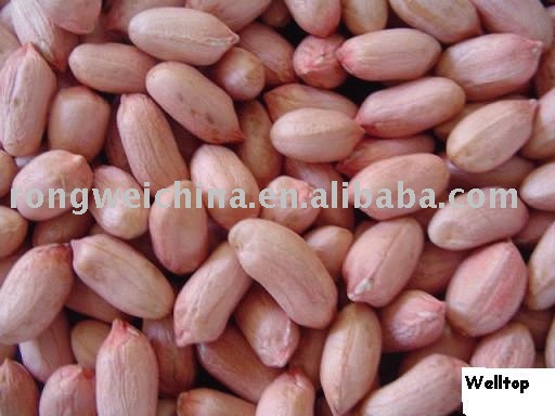 peanut kernel