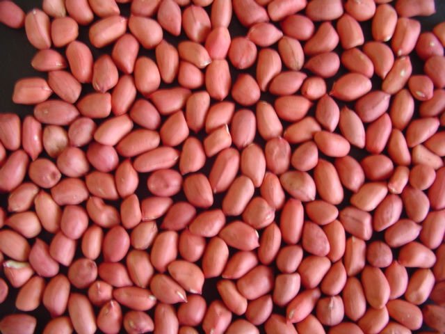 small red peanut kernel