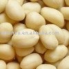 blanched  peanut ( raw   peanut  kernels)