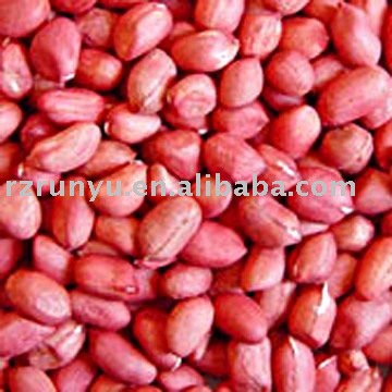 peanut(red peanut kernels)