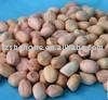 High quality  round   type  peanut kernels