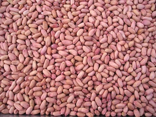  Peanut  kernels  2011 