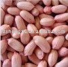 Chinese new crop  peanut kernels