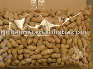 chinese dried roasted peanuts 2010