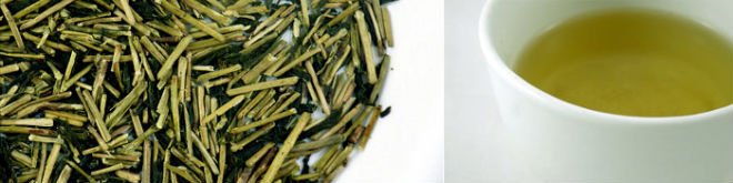 Organic Kukicha Green Tea