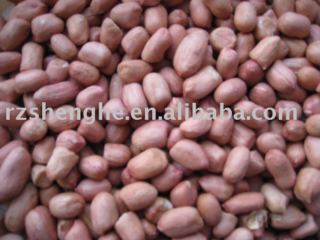 round shaped peanut