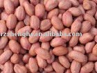 2010 new crop large type peanut kernels