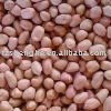 Good quality new crop round type peanut kernels