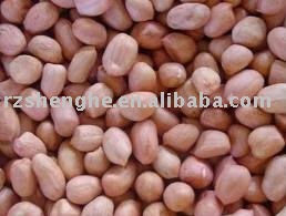 High quality new crop peanut kernels