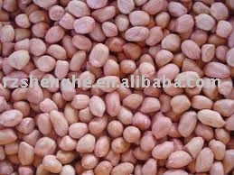 Chinese great new crop round type peanut kernels