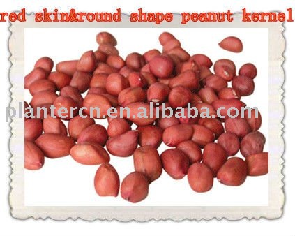 Chinese red skin and round shape peanut  kernels