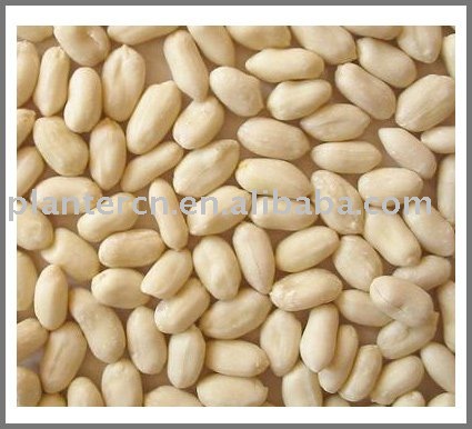Chinese blanched  kernels