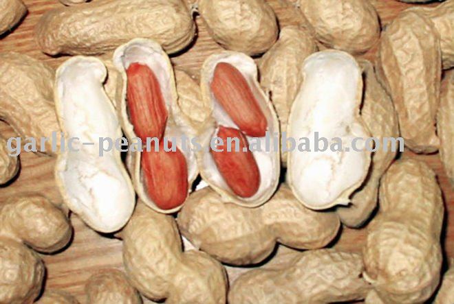 raw peanut