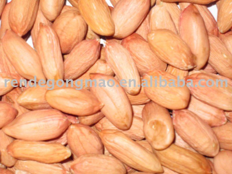 chinese shandong raw peanut 28/32