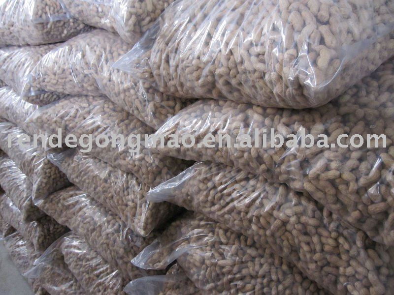 chinese shandong roasted peanut in shell