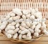 Roasted  White  Sand Peanut