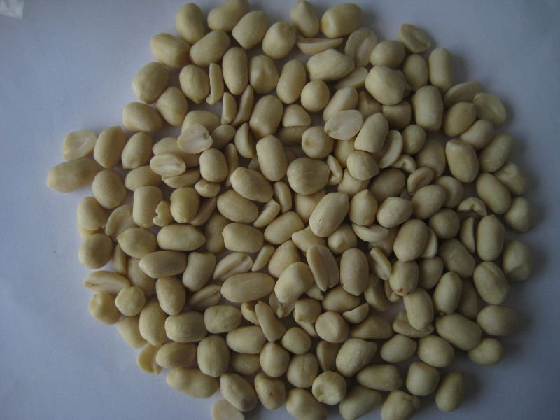 blanched peanut kenels-round