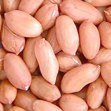 red peanut kernels