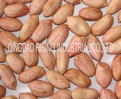 Peanut kernels