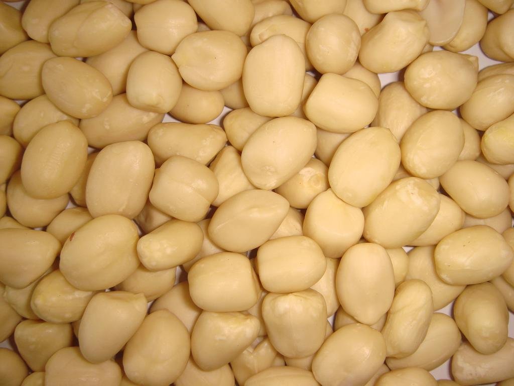 chinese blanched peanut kernels round shap