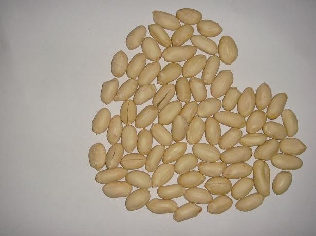 round blanched peanut kernel