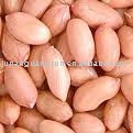peanut  kernal