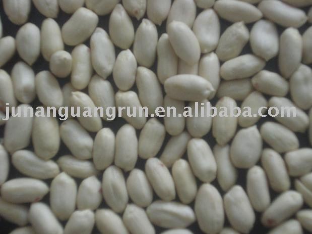 blanched  peanut  kernal