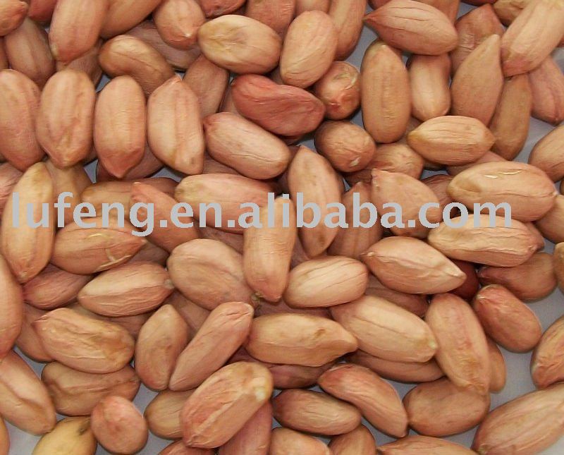 Chinese Peanut Kernel34/38